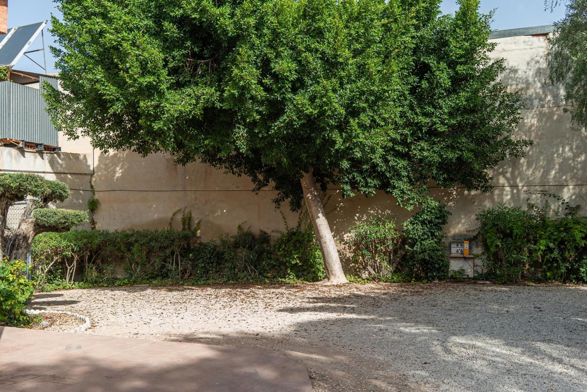 Camping Las Palmeras Crevillente Exterior photo